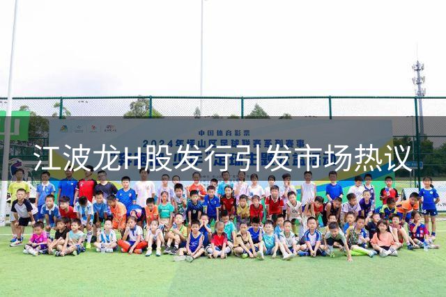 江波龙H股发行引发市场热议